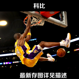 网上办个自考假本科证